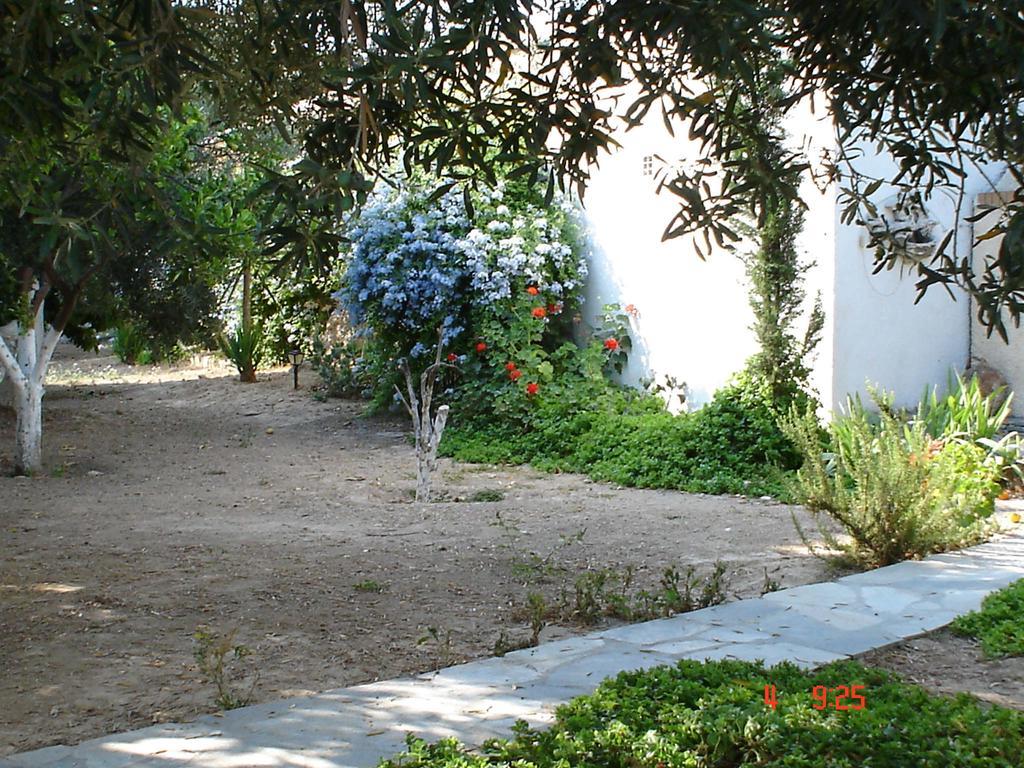 Villa Metaxa Spetses Town Exterior photo
